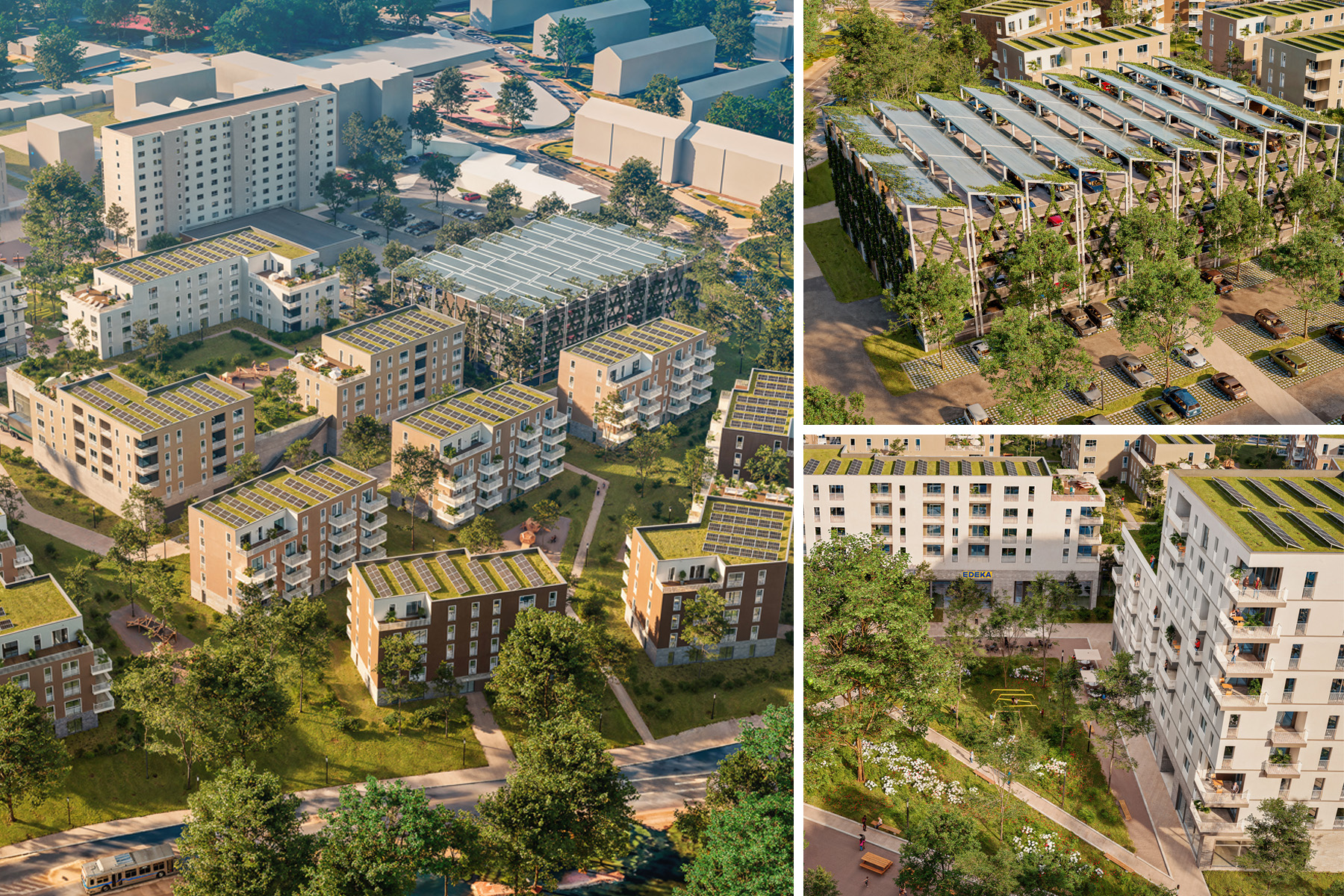 Moderne Wohnanlage mit nachhaltigen Gebäuden, begrünten Dächern und Solaranlagen, umgeben von Bäumen und Grünflächen.